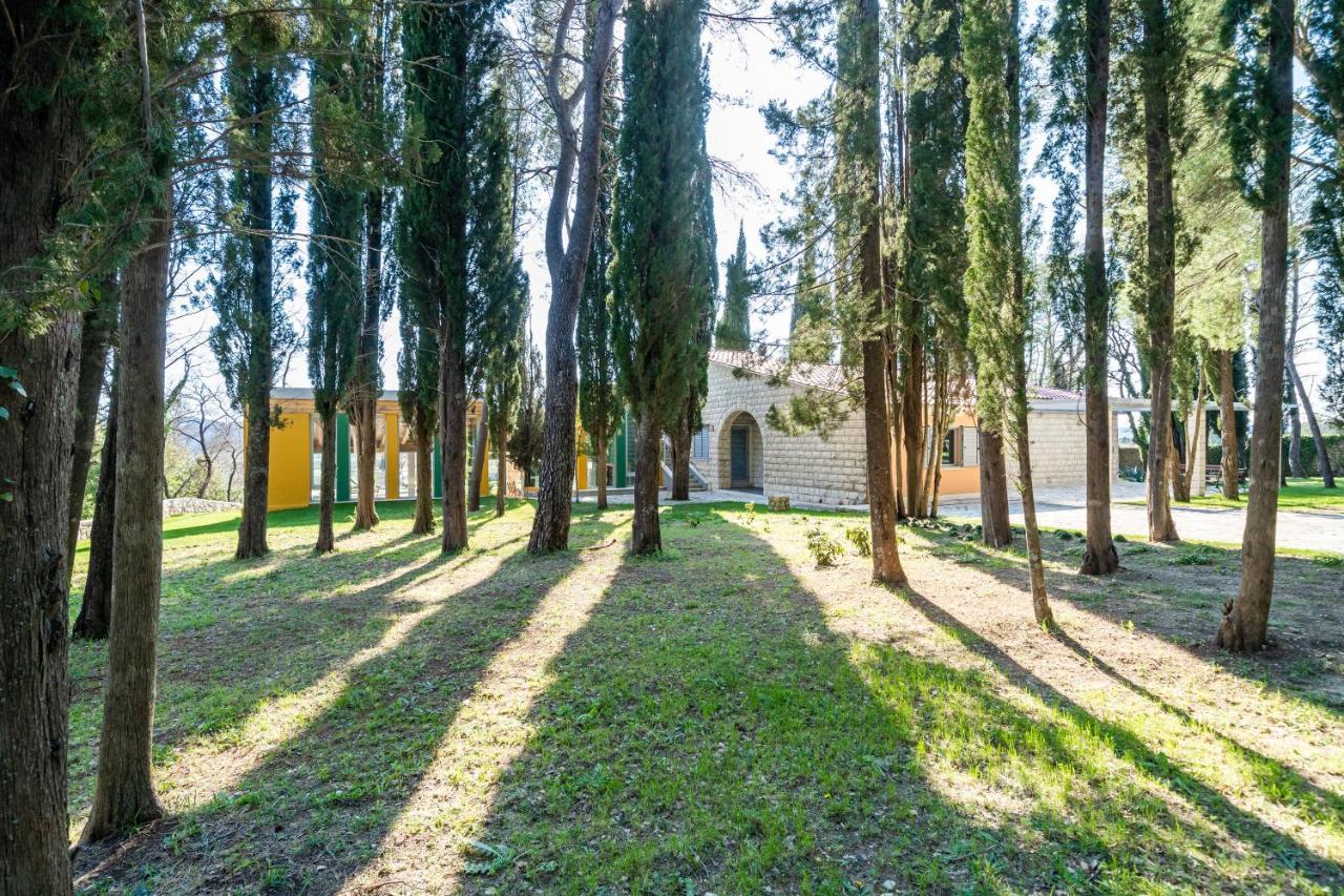 Villa Agave Gruda Eksteriør billede