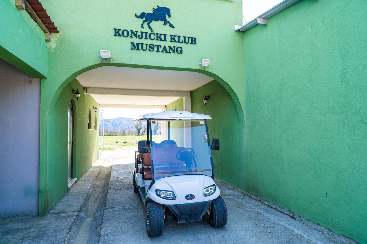 Villa Agave Gruda Eksteriør billede